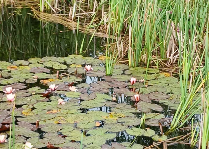 Holiday home Arakaoja Saunamaja